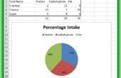 Cómo utilizar Microsoft Excel 2010 para el seguimiento de porcentajes de categorías