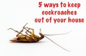 5 maneras para mantener a las cucarachas fuera de su casa