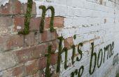 Cómo hacer 'Moss Graffiti'