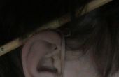 Portalápices de oído
