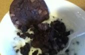 Chocolate Chip Cookie crujiente de yogur