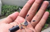 Insect Bot