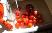Rápido tomates enlatados