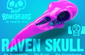 Cómo montar un 3D impreso cráneo Raven y pantalla Monte