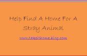 Ayudar a encontrar un hogar para un Animal callejero