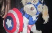 Iggy Wrigley as Captain America