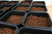 Cultivos hidropónicos crecer kits - Yaroots X tanque