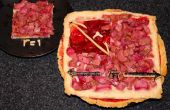 Cuadratura de la tarta de fresa-ruibarbo círculo