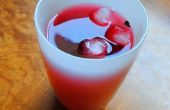 Hibiscus Cooler (bebida de Jamaica)