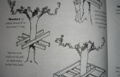 Cómo planificar una casa del árbol