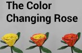 El Color cambia a Rosa