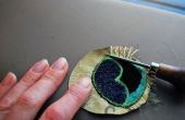 El ojo del pavo real (pluma)