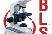 Bestcare Lab - valor diagnóstico