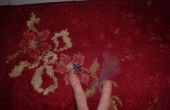 Cómo quitar la cera de una alfombra de Axminster