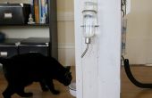 Alimentador automático cat con interfaz web