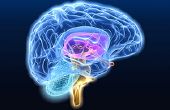 El control de cualquier gadgets con tu cerebro! (Neurofeedback con microcontrolador Arduino) 