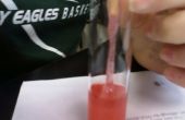 Como extracto de ADN desde una fresa