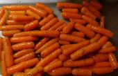 Asado de zanahoria