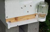 Puerta de colmena de abeja