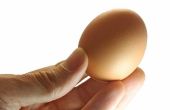 Cómo freír Pan el huevo perfecto en un minuto
