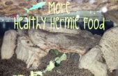 Cómo echar a perder tus cangrejos ermitaños: alimentos edición II