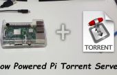 Servidor de Torrent DIY frambuesa Pi