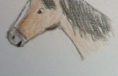 Cómo dibujar la cara de un caballo