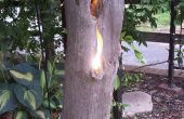 Luz de acento de la extremidad del árbol