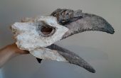 Marioneta de cráneo de pájaro