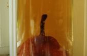 Crecer una pera en una botella