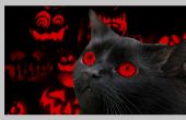 Concurso de edición de fotos de Pixlr Halloween