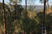 DIY árbol MANOR - día de Australia listo