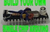 Cómo hacer un Arduino solo Chip