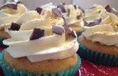 S ' More Cupcakes con Marshmallow Frosting