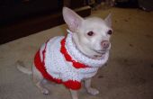 Un suéter de perrito caliente