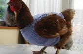 Suéter de pollo