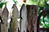 Cómo proteger de tu valla de madera de moho