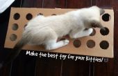 Hacer un juguete para tu gato usando cartón