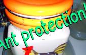 Protegiendo mi azúcar botellas de hormigas! 