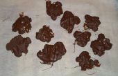 Tortuga de chocolate (primo a tortugas de chocolate)
