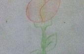 C&oacute;mo dibujar un tulip&aacute;n