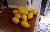 Mermelada de limón Jamaica Chile