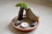 Cómo hacer un jardín de rocas Zen desierto