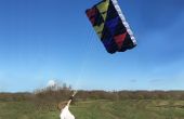 A giant kite