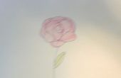 ¿Cómo dibujar una rosa