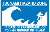 Qué hacer en caso de un tsunami