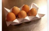 Caja de huevo