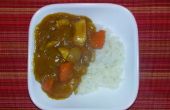 Curry japonés auténtico fácil