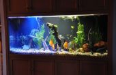 Otro - alto brillo LED (HBLED) acuario lámpara