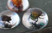 Escarabajos en la joyería de la resina! 